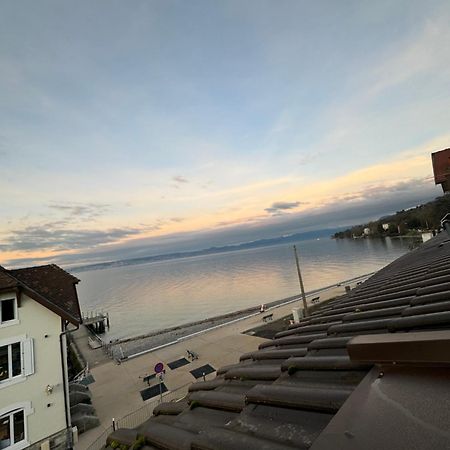 Le Cocon Du Leman Un Espace Cosy Ou Vous Retrouver Publier Esterno foto